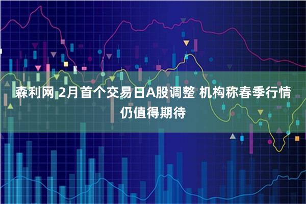 森利网 2月首个交易日A股调整 机构称春季行情仍值得期待